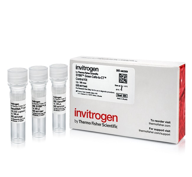 100RXN SYBR GREEN CELLS-TO-CT CONTROL KI